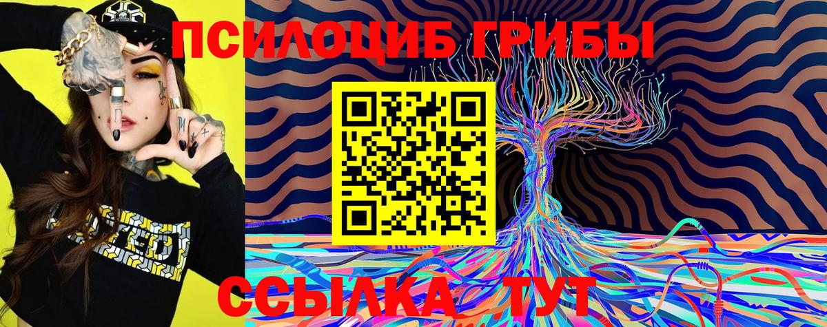 Галлюциногенные грибы Cubensis  Вход с VPN  Кисловодск 
