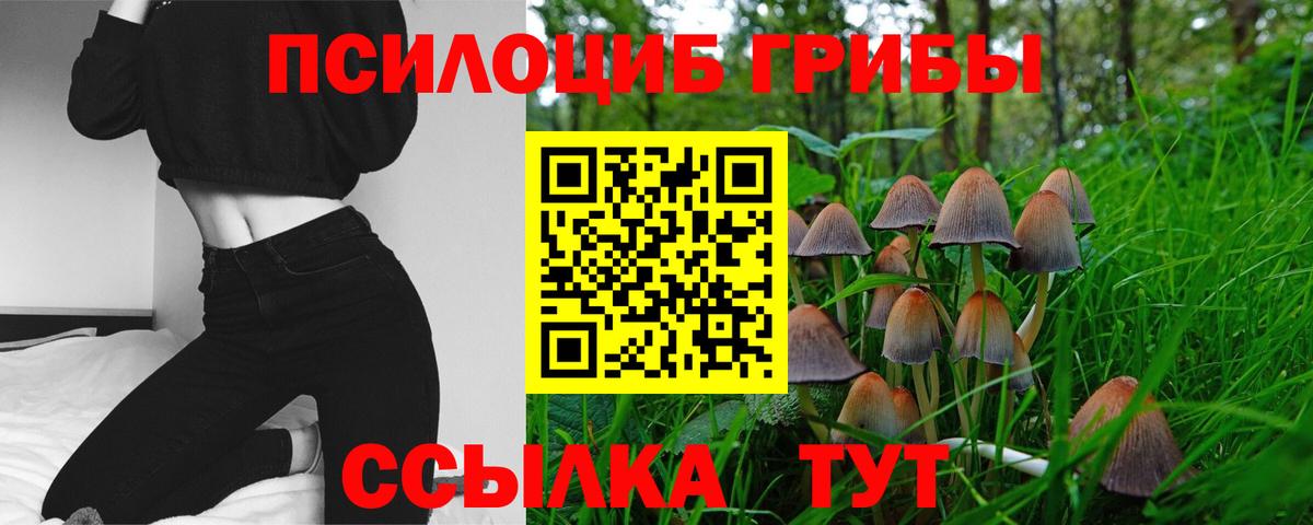 Псилоцибиновые грибы GOLDEN TEACHER Кисловодск